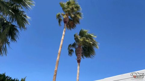 Photo of Cum To Daddy